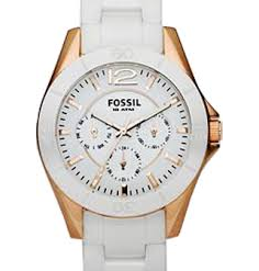 Fossil CE1006