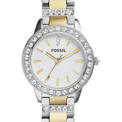 Fossil ES2409