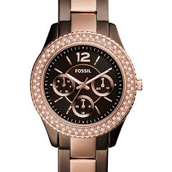 Fossil ES4079