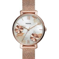 Fossil ES4534