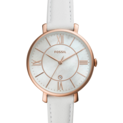 Fossil ES4579
