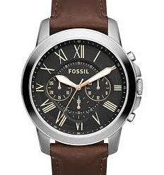Fossil FS4813