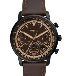 Fossil FS5529