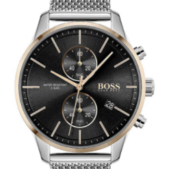 Hugo Boss HB1513805