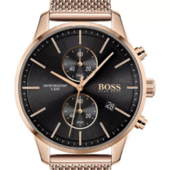 Hugo Boss HB1513806