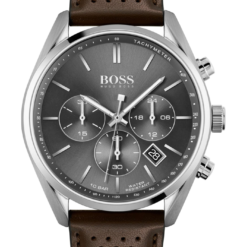 Hugo Boss HB1513815