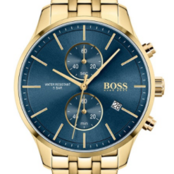 Hugo Boss HB1513841