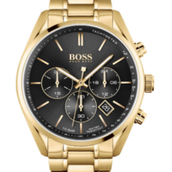 Hugo Boss HB1513848