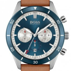 Hugo Boss HB1513860
