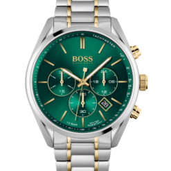 Hugo Boss HB1513878