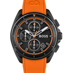 Hugo Boss HB1513957