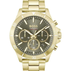 Hugo Boss HB1514059